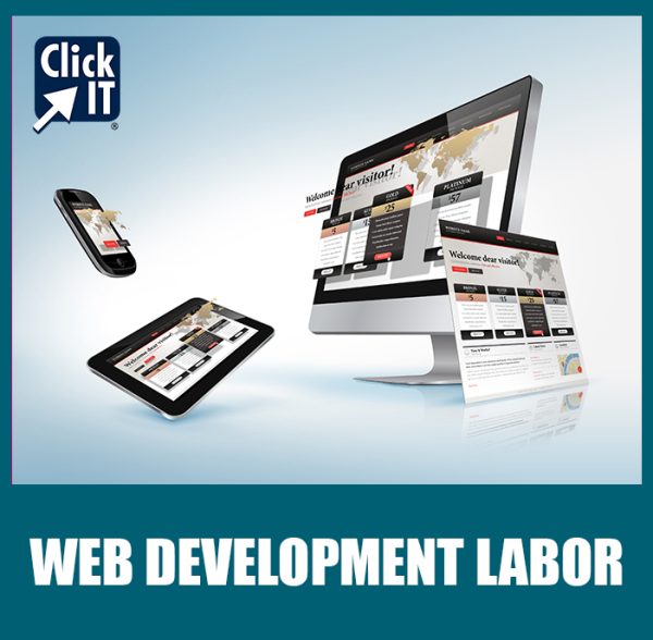 Web Development Labor