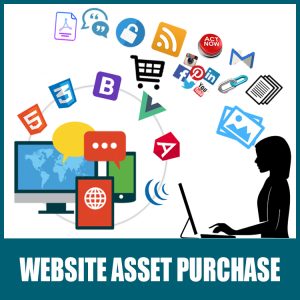 Website Asset Purchase