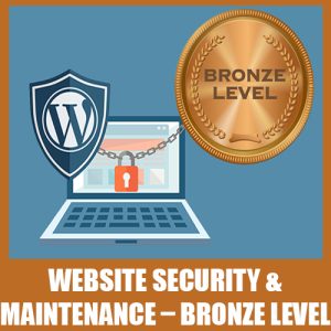 Website Security Maintenance – Bronze Level