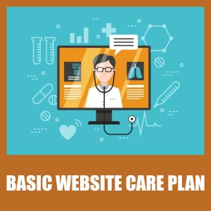 website care plan 1