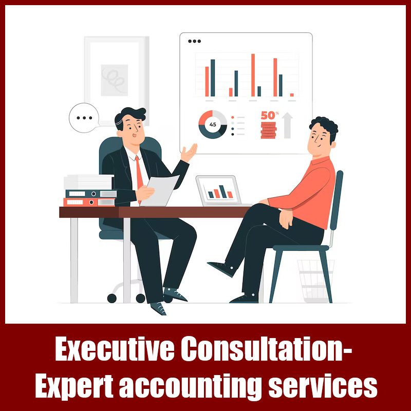 Executive Consultation – Expert accounting services
