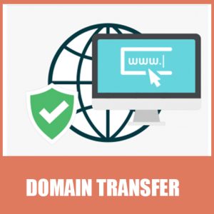 Domain Transfer.jpg